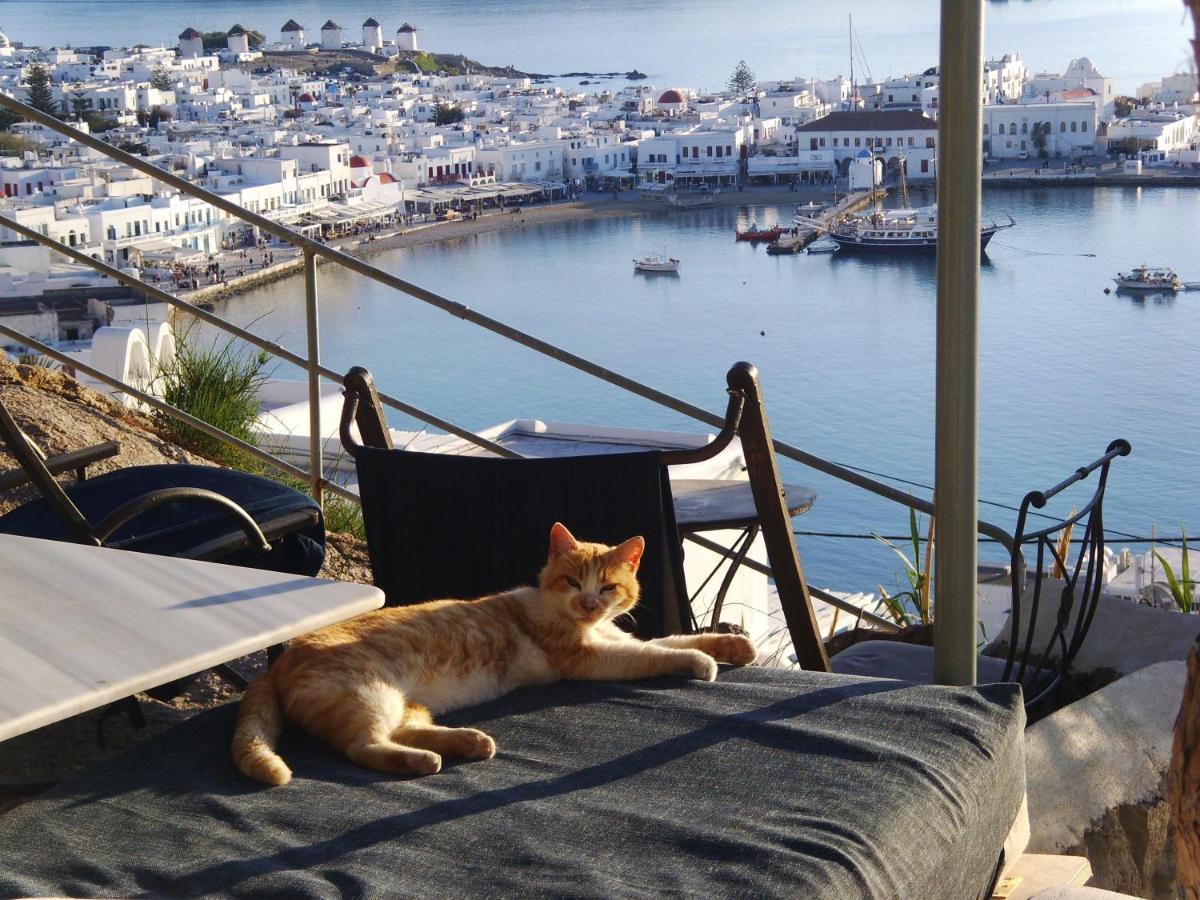 Ferienwohnung Anemones Sea View Mykonos Town Exterior foto